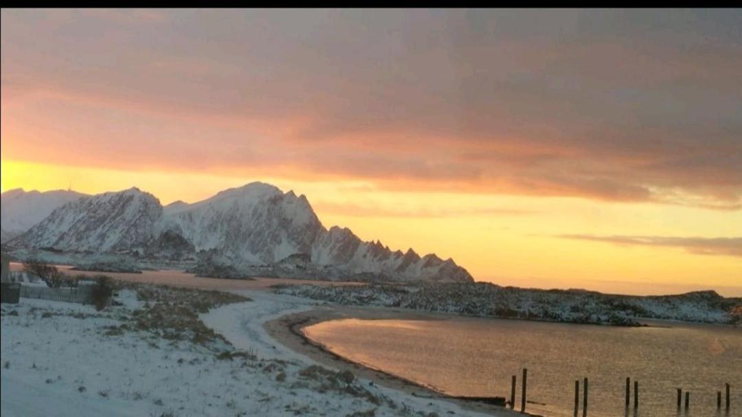 Sentral Studioleilighet Ved Stranden Og Hvalsenter Nb Ma Vaskes Etter Endt Leie Eller Betale Rengjoringshjelpen 500 Kr Andenes Exterior foto